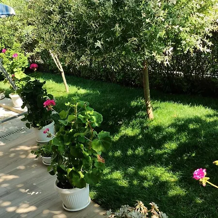 Hotel Sunny Flower Family 3*