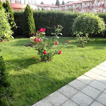 Sunny Flower Family 3* Słoneczny Brzeg