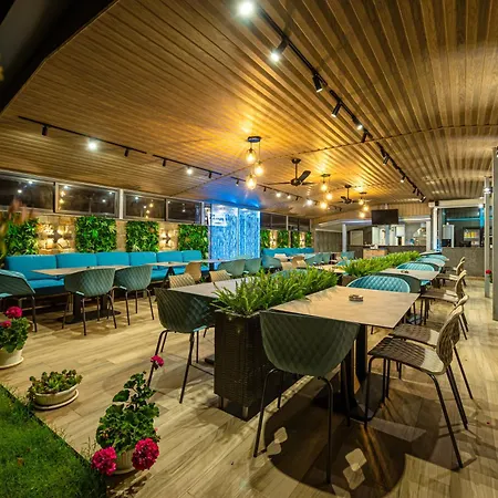 Sunny Flower Family 써니비치