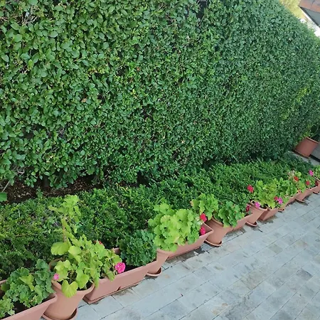 호텔 Sunny Flower Family