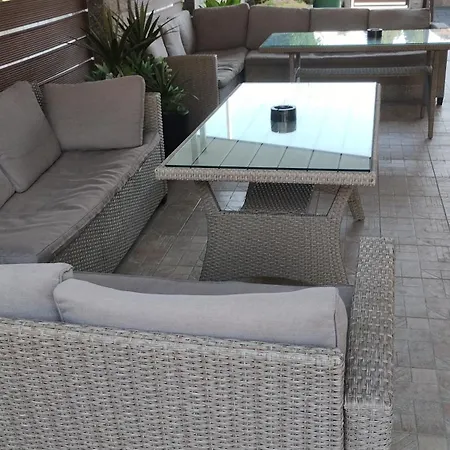 Sunny Flower Family 3*