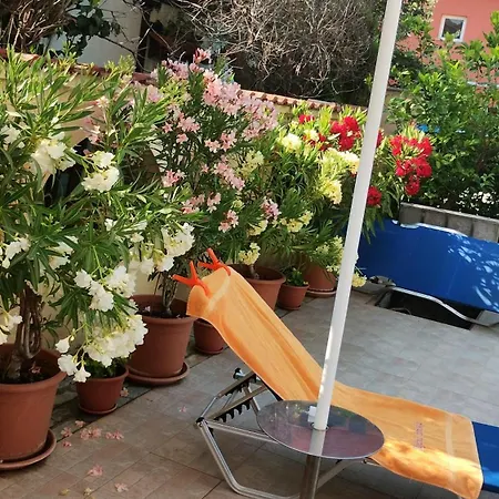 Hotell Sunny Flower Family