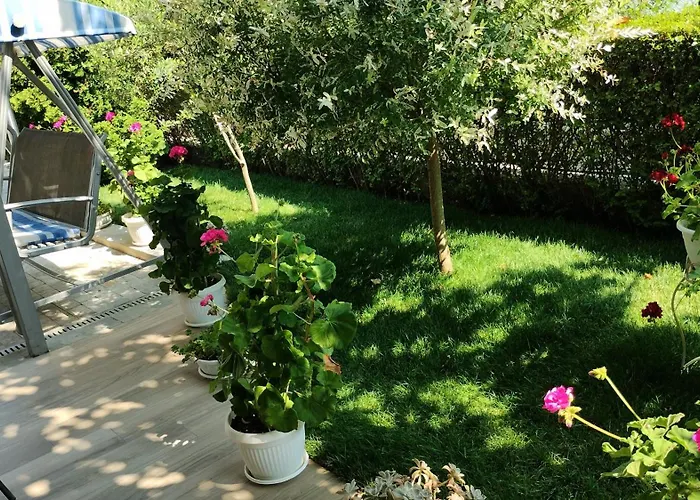 호텔 Sunny Flower Family 3*