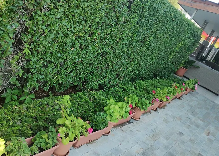 호텔 Sunny Flower Family