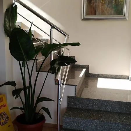 Sunny Flower Family Hotel