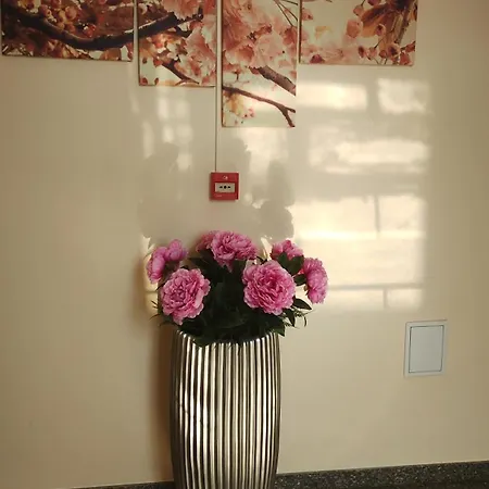 酒店 Sunny Flower Family 阳光海滩