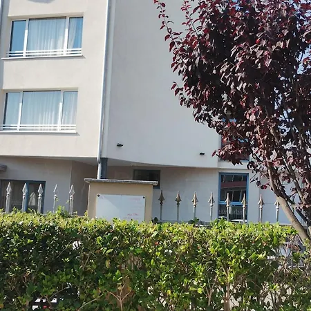 Sunny Flower Family 阳光海滩