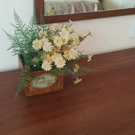Hotel Sunny Flower Family 3*