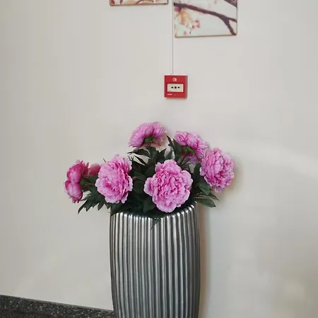 Sunny Flower Family Hotel 3*