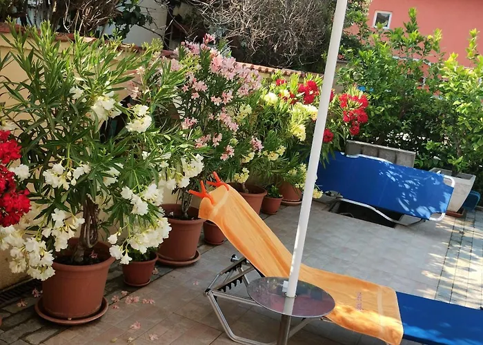 Hotel Sunny Flower Family